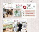 1枚3,000円より♦︎EC商品画像をお作りします ユーザーが思わずタップしたくなるデザインをご提案！ イメージ3