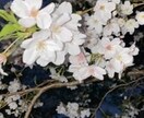 日常の愚痴イライラ聴きます 介護や近所付き合い、頭に来た事や気が滅入りそうな事 イメージ2