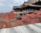 お得に旅行に行くご相談受けたまります 旅行のお得な最新情報をサービスをご提案させて頂きます。 イメージ2
