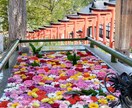 メンタルケアカウンセラーです。ぜひお待ちしています 介護福祉士は23年勤務し、色々な経験を経てカウンセラーです イメージ3