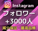 Instagram✨フォロワー3000人増やします 本気で変えたいなら投稿が届くSNS設計、全部まるっと支援！ イメージ6