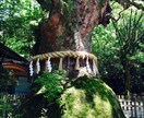 子ども鑑定｜大切な家族の未来を霊視で明らかにします 育児・進学・才能─ひとりで抱えたお子様の悩みを預けてください イメージ10