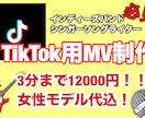 激安でTikTok用MV制作致します インディーズ必見！丸投げでOK！TikTok用MV制作！！ イメージ1