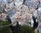 1分からOK～　あなたのお話を聞かせていただきます お悩み相談/愚痴/話し相手/鬱/パワハラなど　何でもOK☘️ イメージ5