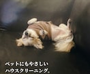 グッズやTシャツ、チラシ等各種デザイン承ります チラシ、Tシャツ等グッズ、ロゴなど各種デザイン対応 イメージ1