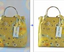 写真の背景を消します さまざまな写真（画像）の背景削除をおこないます！ イメージ7