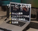 TikTok・YouTubeショート動画編集します ショート動画をフルテロップで編集 イメージ2