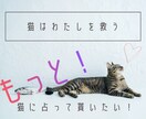 猫の神秘的な直感が迷える恋心を占います 恋するあなたに猫たちがそっと選ぶタロットのメッセージ✴︎ イメージ1