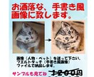 写真を手書き風にします ペット・子供の写真を手書き風に加工します イメージ1