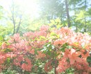 毎日頑張りすぎてしまうあなたへまっすぐ受け止めます 知らない誰かのほうが話せることも多いはず。息抜きしませんか？ イメージ1