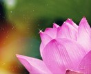 愚痴はありませんか？相談も不安、何でも伺います 自粛ムードの中ストレス沢山あると思いますのでお気軽にどうぞ！ イメージ1