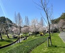 ママ関係で限界な方現役幼稚園ママ話聞きます ママ友、子育てのストレスひとりで抱えなくて大丈夫 イメージ1