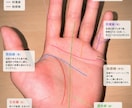 手相占い|両手の写真であなたの運勢占います 生命線・運命線・愛情線…あなたの手が語る本当の姿 イメージ3