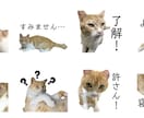 あなたの可愛いペットのLINEスタンプを作ります 画像共有頂いて、LINEスタンプを作成します！ イメージ1