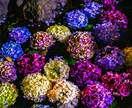 写真を代行します 見たことの無い景色をあなたへ。。 イメージ1