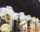 あなたの体質を診断して食事指導します ✨中医学と栄養学のいいとこ取りしてキレイのお手伝い✨ イメージ1