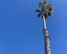 コロナ禍海外就職の経験をお伝えします アメリカ版ワーホリ！？ J-1ビザでアメリカ生活中！ イメージ1