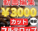 カット＆フルテロップ！視聴しやすい動画に編集します 面倒なカットとフルテロップ入れ、まるっとお任せください！ イメージ1
