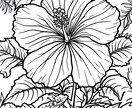 大人も楽しめる塗り絵を作っています 自由気ままに大人も楽しめる塗り絵を作成しております✨ イメージ8