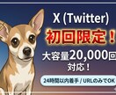初回限定 Xのインプレ拡散2万回お届けします 最短当日着手！複数投稿への振り分けもOK。誠実に対応します。 イメージ1