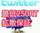 あなたのツイート最低250RT以上保証します あなたのツイート最低250RTになる迄保証するサービスです。 イメージ1