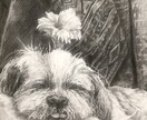 写真をもとに加工ではないリアルな似顔絵を描きます ★鉛筆と木炭のデッサン★高品質な原画をお届け★データのみも可 イメージ1