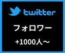 Twitterフォロワー＋1000〜増やします 【安心安全の30日間保証付き】 イメージ1