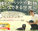 どこに行っても解決しない繊細さんを根本から癒します 一般カウンセラーさんが知らない「ある方法」で思考の変化を体感 イメージ4