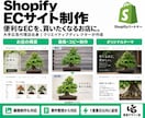 Shopifyのストア構築・改修に対応します 部分改修３万円〜／新規構築１５万円〜。画像制作も対応 イメージ1