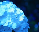 1枚100円で写真をご提供致します SNS用や風景写真が欲しい方など。。 イメージ2