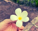 ちょっとポジティブに。ゆっくり話聞きます 否定はしません。一緒にほっこりした時間を過ごしましょう！ イメージ4