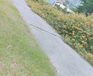 １週間【無制限】に日々の愚痴などなんでも聞きます １週間毎日チャットでお話出来ます。内容はなんでも！ イメージ1