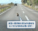 数分だけでも大丈夫❗お話しなんでもお聴きします ▶️メンタル面・人間関係の悩みなど、じっくり傾聴します❗ イメージ4