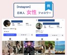 モニター募集｜インスタフォロワー100人増やします 先着20名｜期間限定｜通常3,000円→2,000円 イメージ4