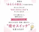 もう失敗しない！あなたの“痩せスイッチ”見つけます 人生最後のダイエット始めませんか？ イメージ3