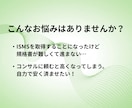 記入例付！ISMS規程・様式テンプレ一式納品します 現役コンサルタント監修！ひな形＋記入例付きテンプレート イメージ2