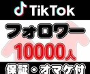 TikTokフォロワー5000人増加させます コスパ◎！安く高品質なフォロワーをあなたにご提供 イメージ2