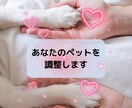 ペットの健やかな毎日をタイムウェーバーで調整します タイムウェーバーの波動調整でペットの心身を最適化 イメージ1