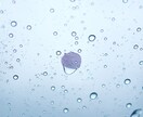 写真を提供いたします ブログやコラム記事などで写真素材が必要な方へ。 イメージ2