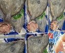 鮮魚の売り上げアップ、粗利の取り方教えます スーパーの鮮魚の売り上げ、粗利をサポート イメージ6