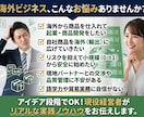 海外ビジネスの起業・新規事業を0からサポートします 経営14年・40カ国取引｜ココナラPRO&現役経営者が伴走！ イメージ2