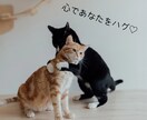１分でも◎今すぐ聞いてほしい！気持ち受け止めます 心理カウンセラーが提供する心の保健室♡一休みしていきませんか イメージ3