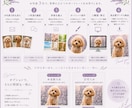 メモリアルポートレート『うちの子』お作りします 犬さん、猫さん、鳥さん…写真３枚から　その子だけの１枚に イメージ5