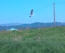 最大3日間!!どんな悩みでも聞きます 自分の気持ち吐き出してみませんか?? イメージ5
