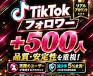 TikTokフォロワー500人増加します 減少率5％未満★実際のユーザーが使用するアカウント・品質重視 イメージ1