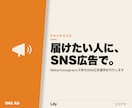 Instagram・SNS広告を運用します クリエイティブから配信改善まで対応します イメージ1