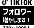 TikTokのフォロワー+300まで宣伝します ティックトックのフォロワー300人宣伝！ イメージ1