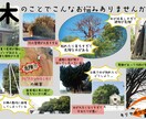 チラシデザイン作成します とにかく納得いくまで修正します！ イメージ2