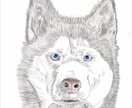 即日納品可能、画像を参考に鉛筆スケッチを描きます 画像を元にスケッチ画から全面カラーの絵画まで心温まる物に。 イメージ8