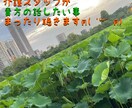 貴方のお話、お気持ち、お聞かせいただきます 貴方が言いたい！でも言えない！といった事をまったり聞きます♪ イメージ1